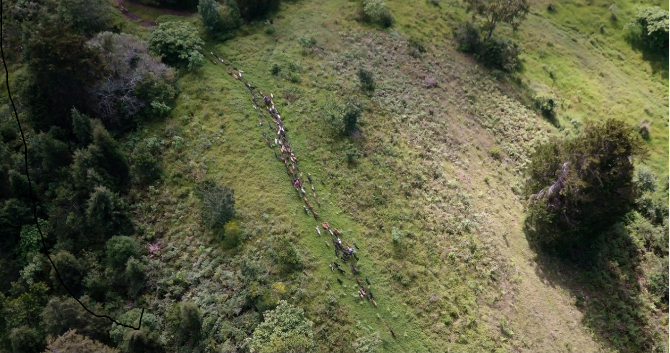 Netflix visitó Costa Rica para un episodio de la primera temporada de su serie Perros, que cuenta seis historias sobre la relación de estos animales con los humanos. Fotografía: Netflix