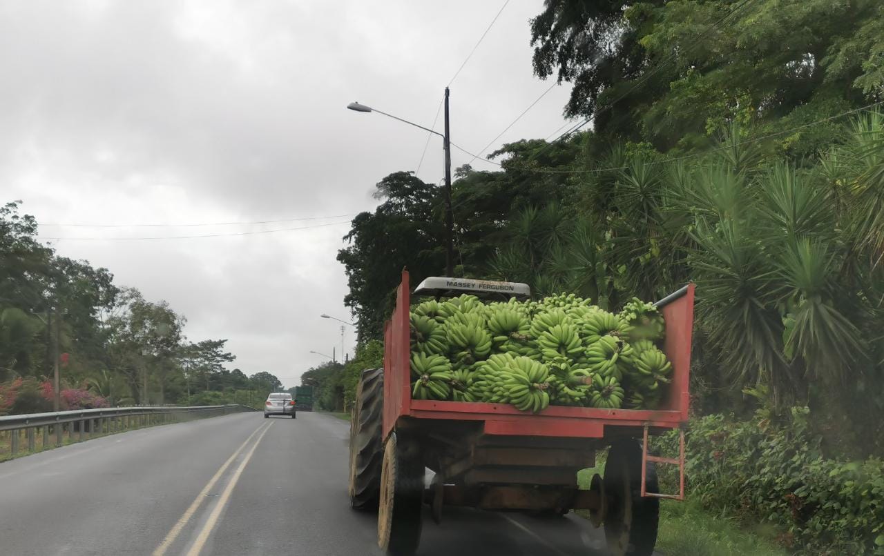 Bananeros y piñeros de zona norte, sur y Caribe se han visto imposibilitados de transportar sus mercancías hacia los puertos. Fotografía: Reiner Montero.