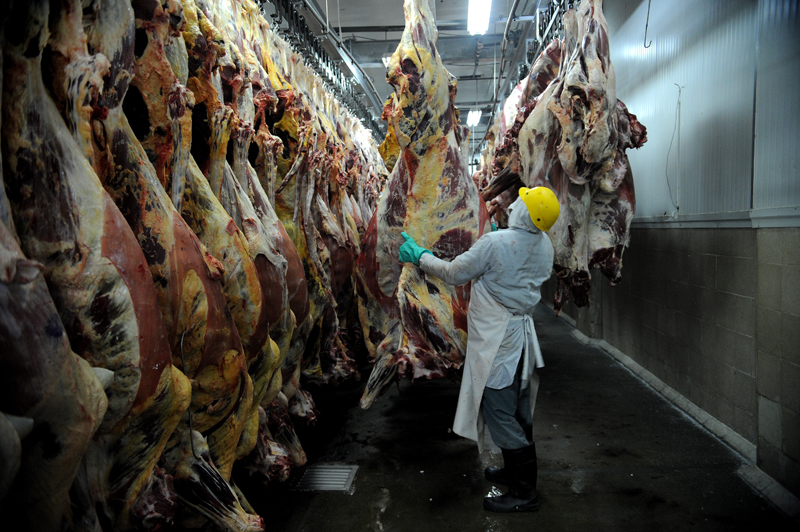 La menor demanda desde China ha llevado a los exportadores de carne de res a interesarse más en mercados cercanos como Centroamérica, el Caribe y Estados Unidos, pero también en otros menos comunes, como Emiratos Árabes