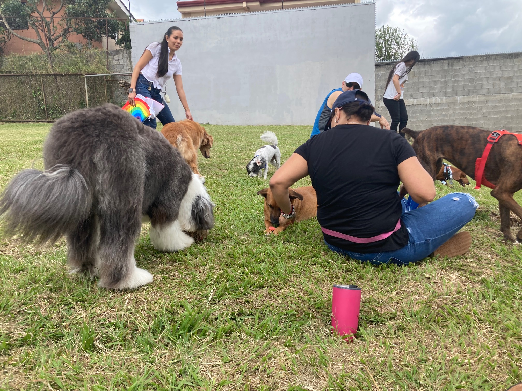 Parque para perros San Pablo Heredia