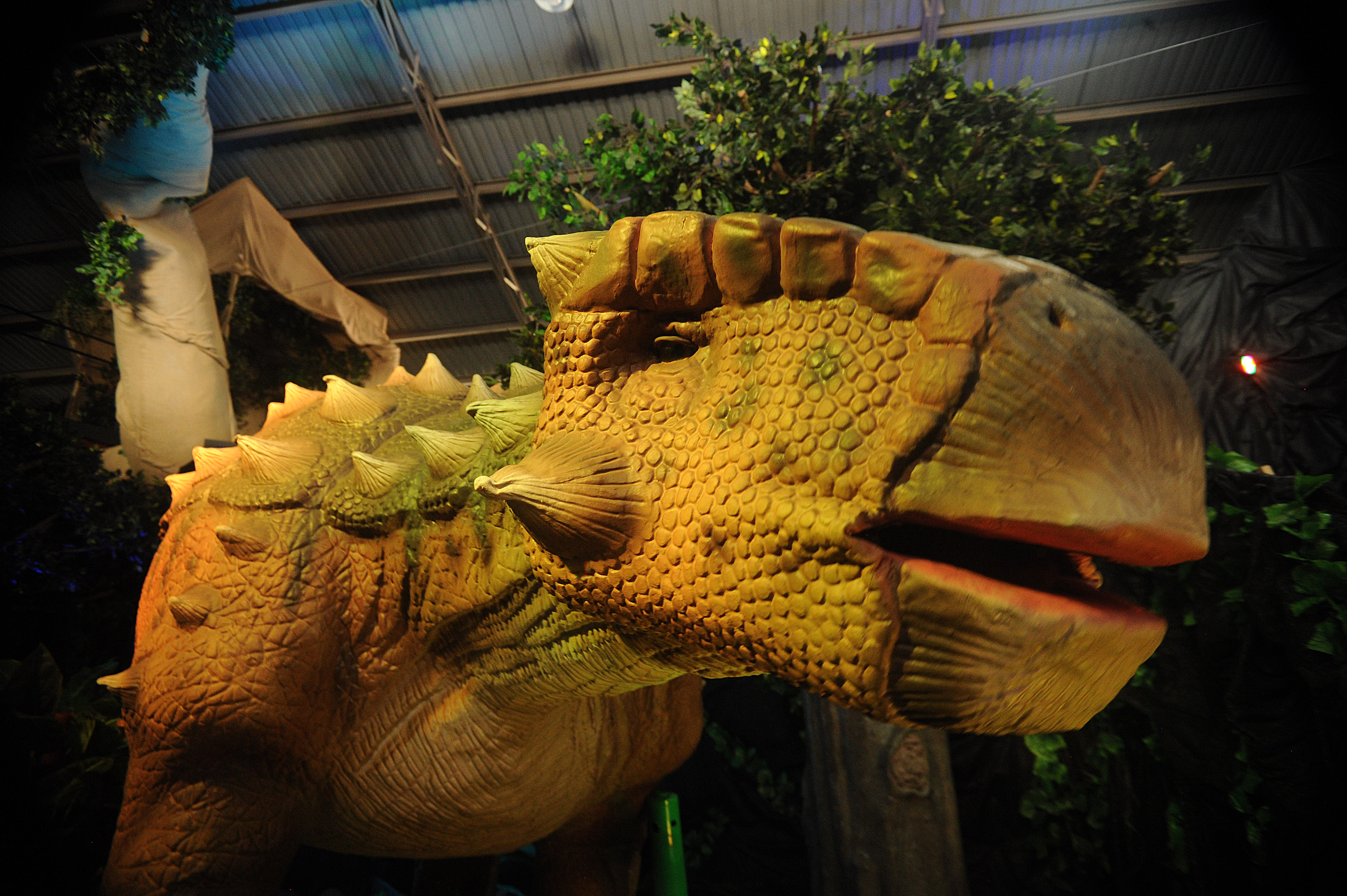 Dinoworld Xtreme, el parque jurásico que ruge en Heredia | La Nación