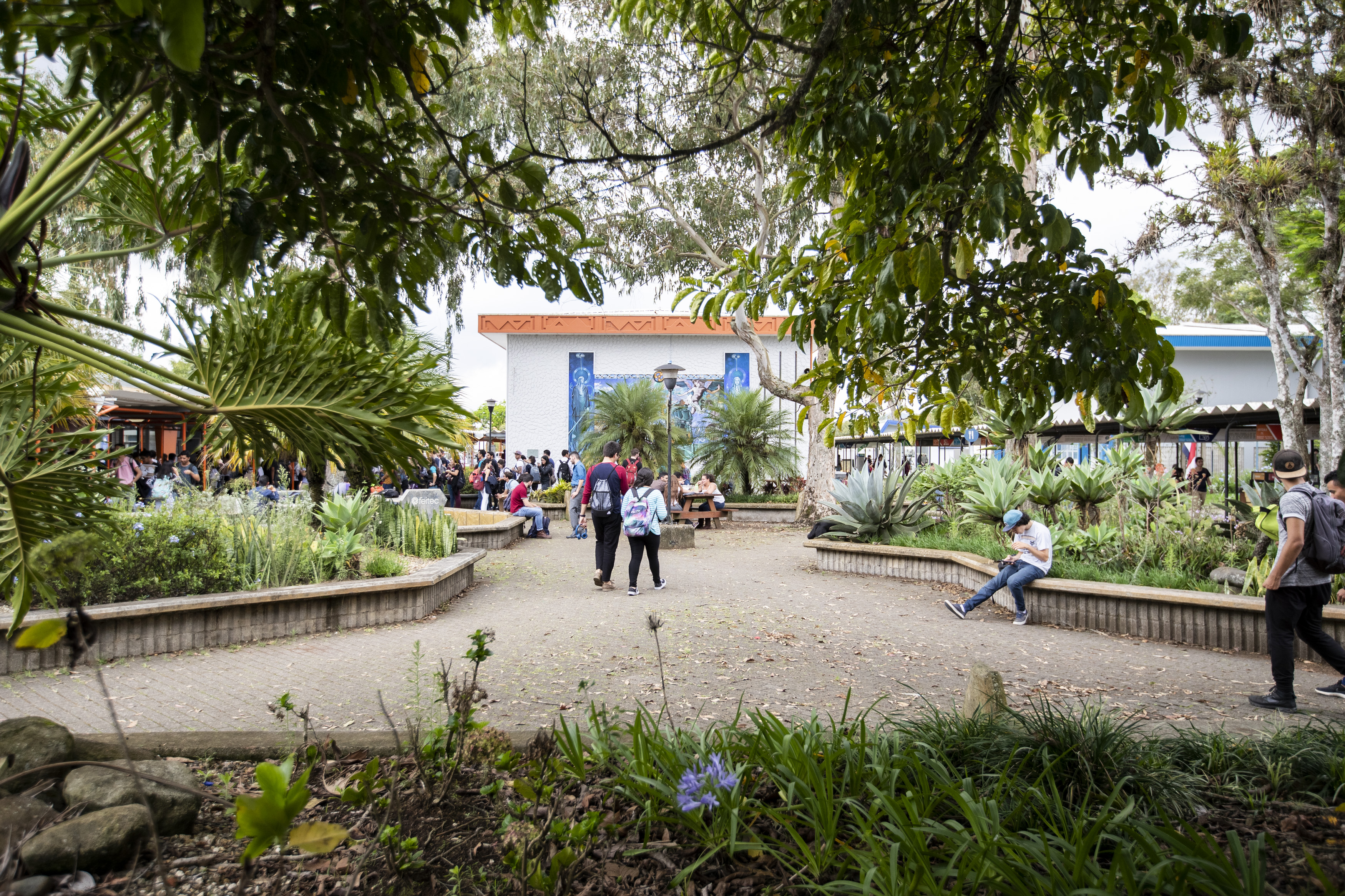 28/05/2019. Tecnológico de Costa Rica, Cartago, Costa Rica. TEC lucha para cambiar su histórica percepción de ser una entidad masculinizada, debido a que la mayoría de carreras que imparte han sido dominadas por hombres. En la Foto: El pretil del TEC
Fotografía: Alejandro Gamboa Madrigal