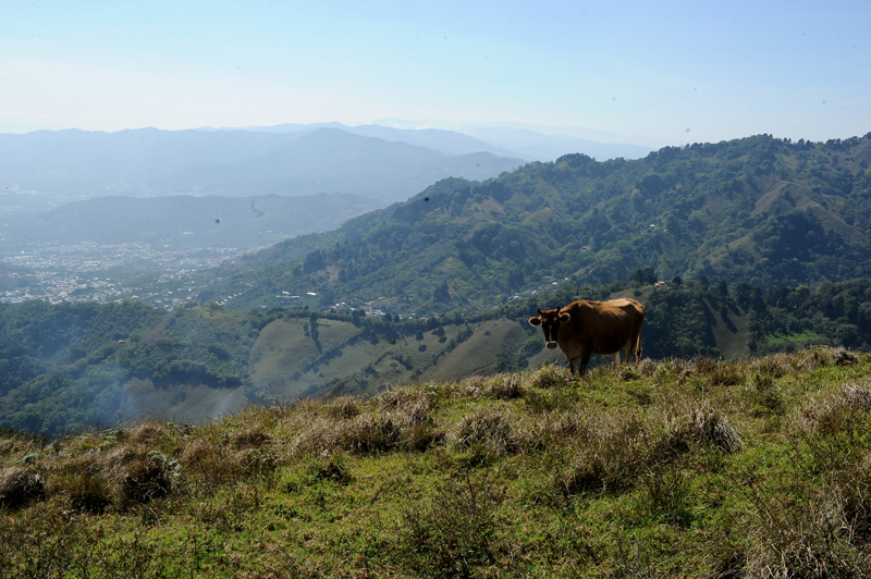 La vista desde lo alto del cerro San Miguel es soberbia. Las fincas ahí no evidencian mayor actividad.