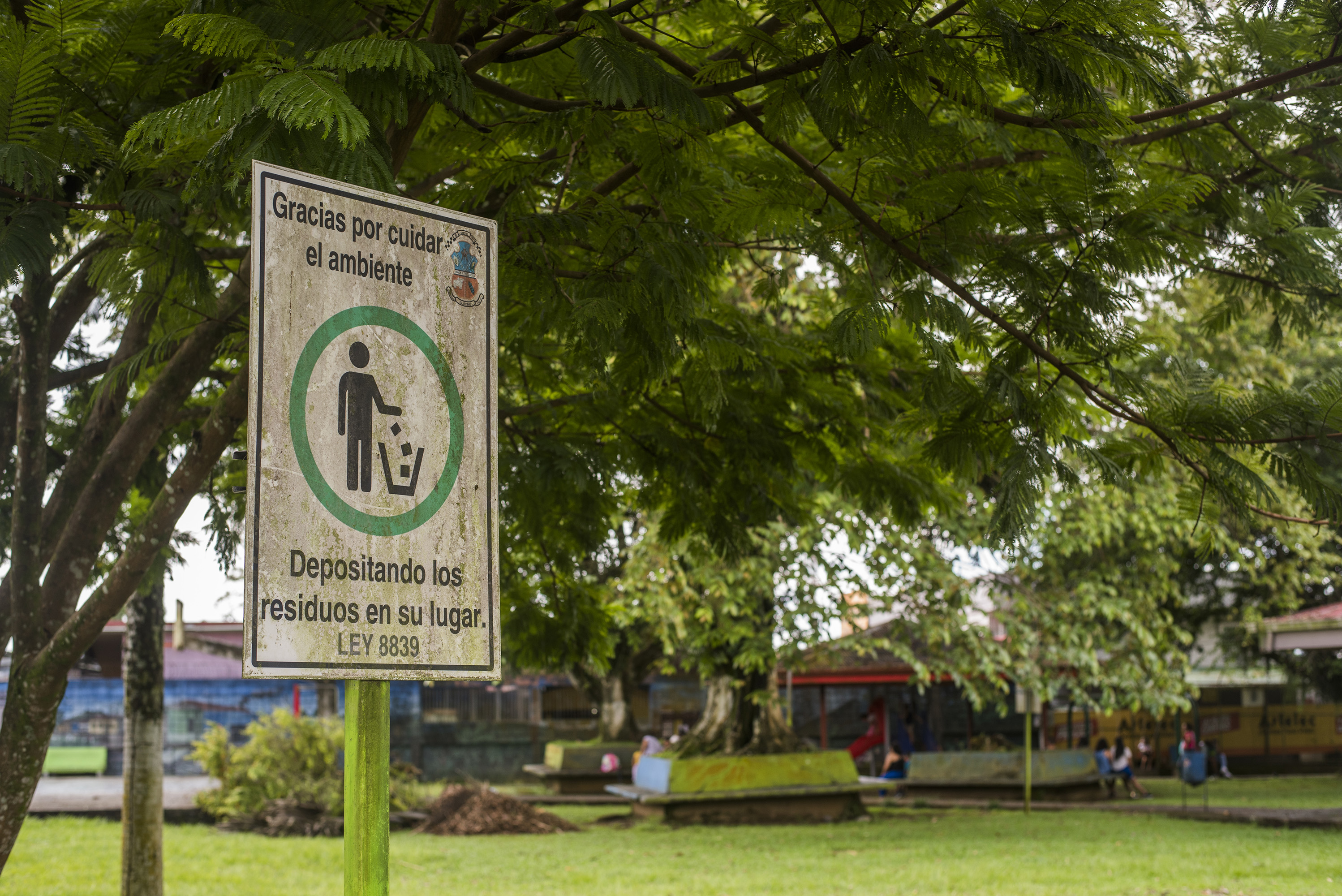 Gira 27 y 29 de junio para PYA con la estudiante de periodismo Karol Quesada. El tema es sobre el desarrollo en la zona de limón y proyectos a futuro con platas de Japdeva.
Parque de Guácimo.
Fotos: Eyleen Vargas.