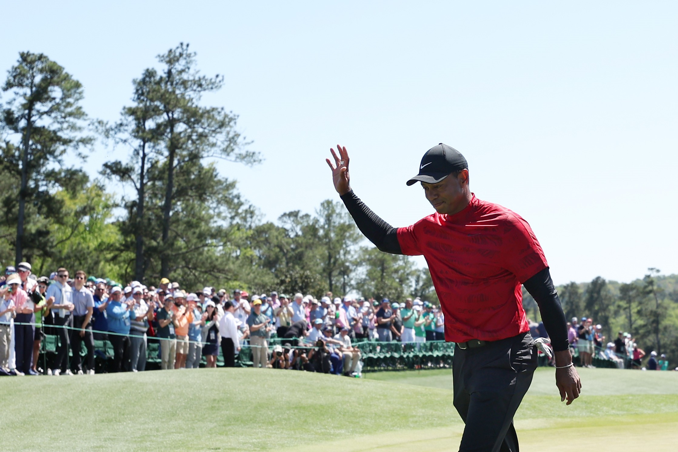 Durante el torneo Masters de Augusta, Tiger Woods golpeó accidentalmente a un aficionado con una pelota de golf.