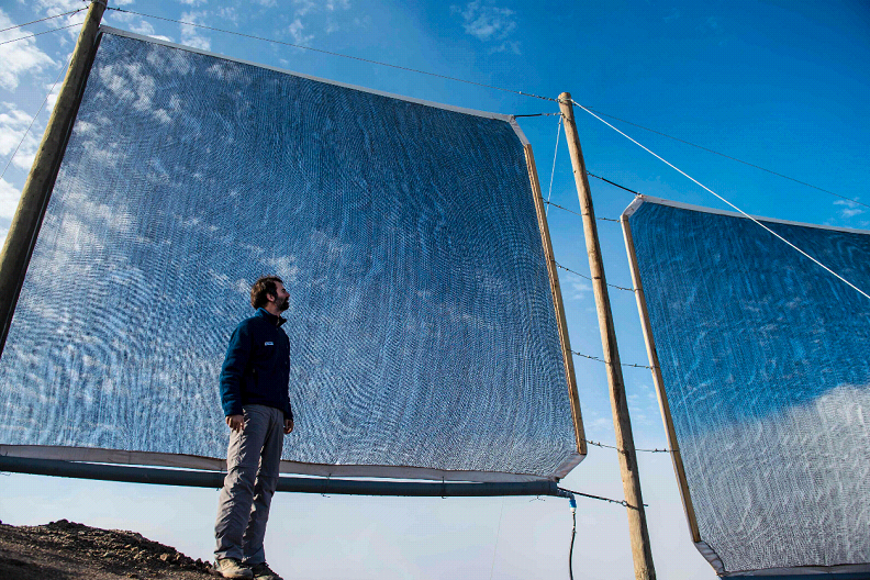 En el desierto de Atacama, la niebla da el agua necesaria para vivir