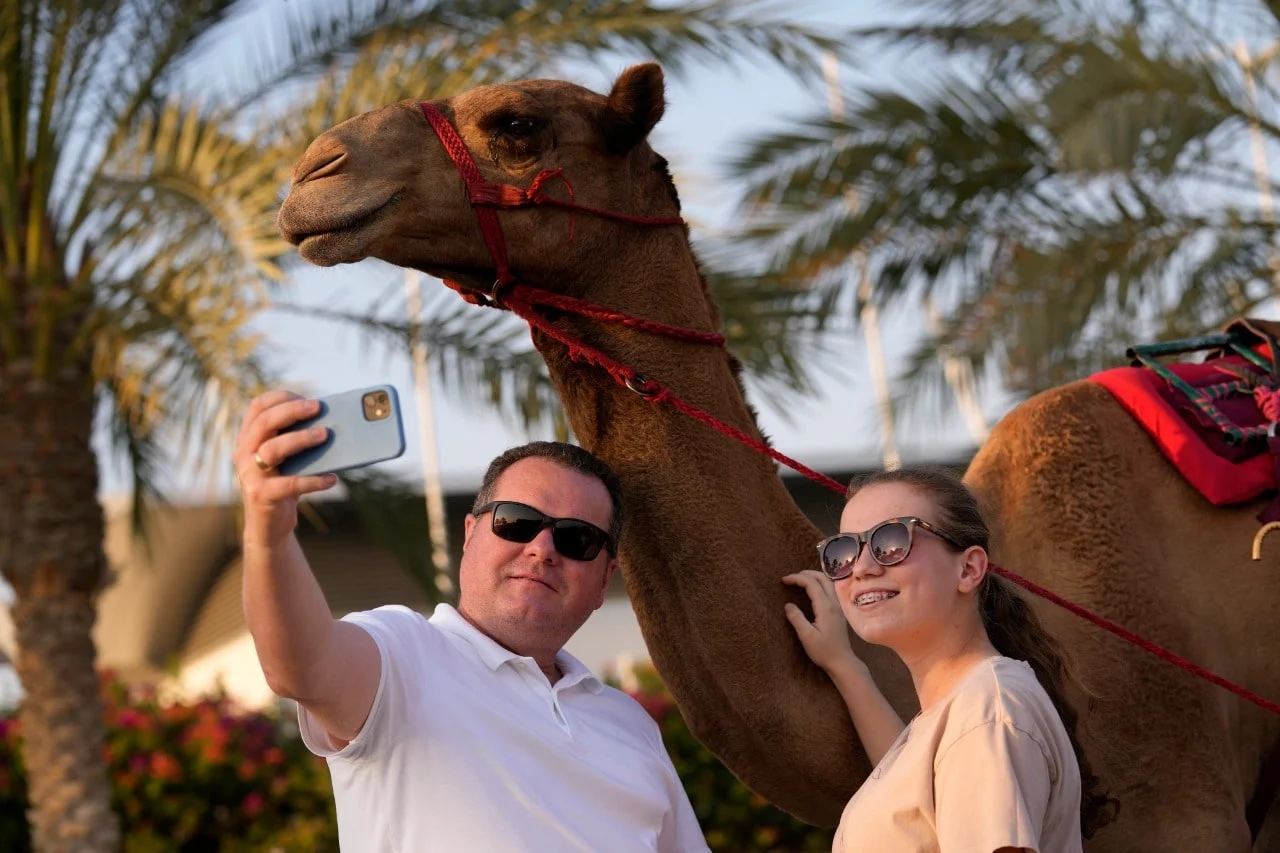 Virus del camello: La enfermedad que pone en peligro el Mundial Qatar 2022  | La Nación