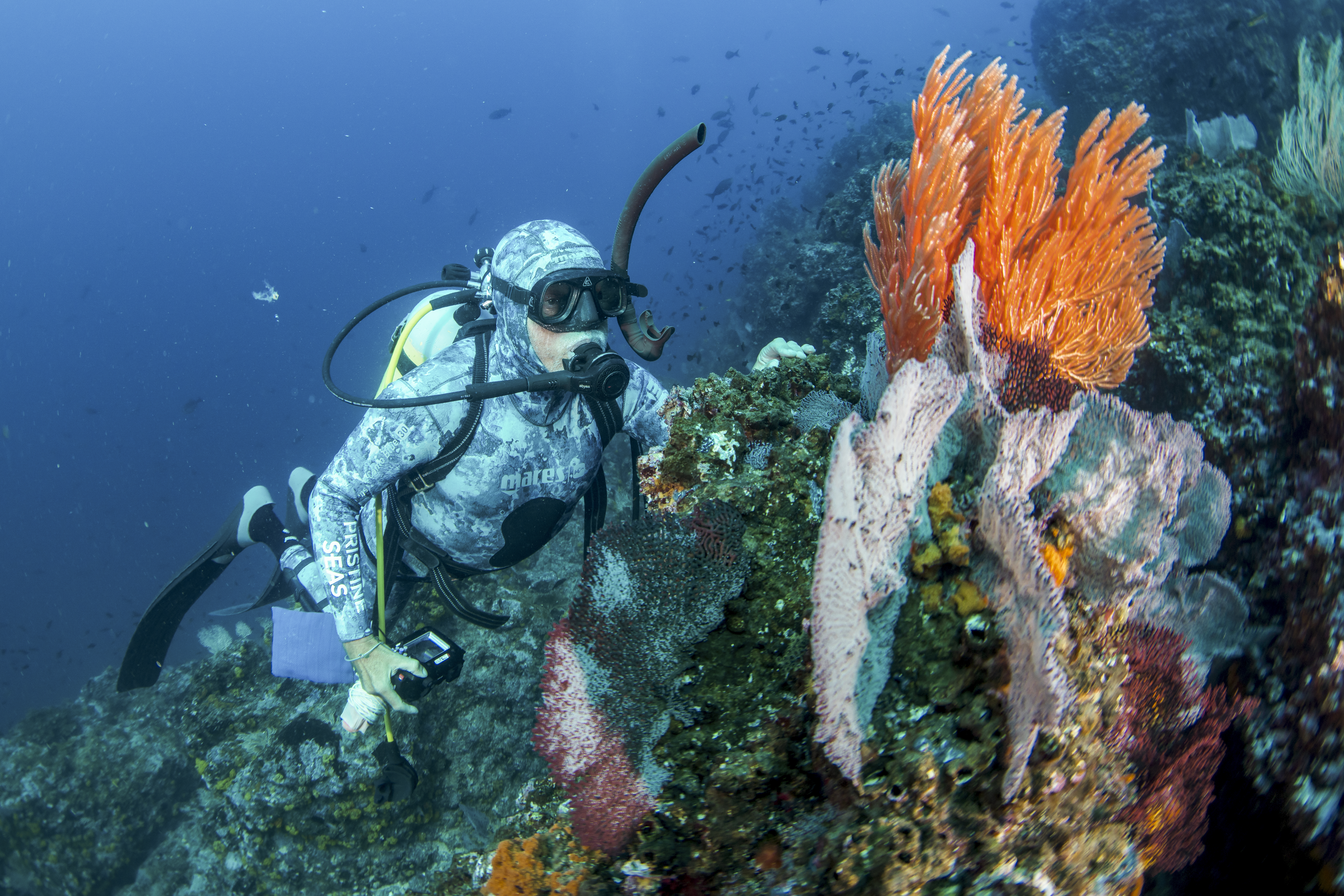 “Photograph by Enric Sala, National Geographic”. National Geographic Pristine Seas
www.NatGeo.org/PristineSeas.