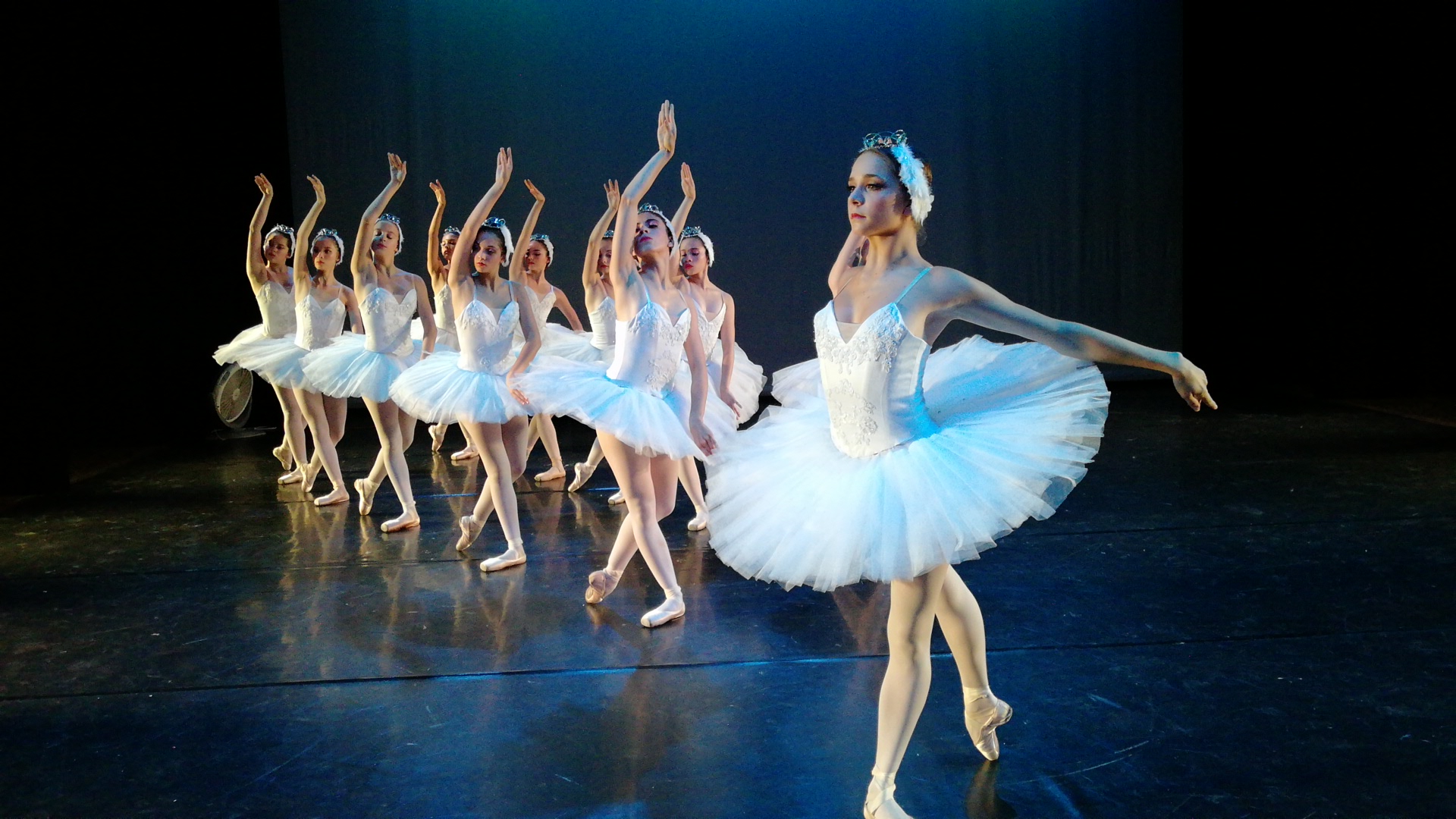 El espectáculo tendrá un elenco de primer nivel, pues contará con bailarines invitados del Washington Ballet, de Sarasota Cuban Ballet School and Company y de la Escuela Nacional de Ballet de Cuba.