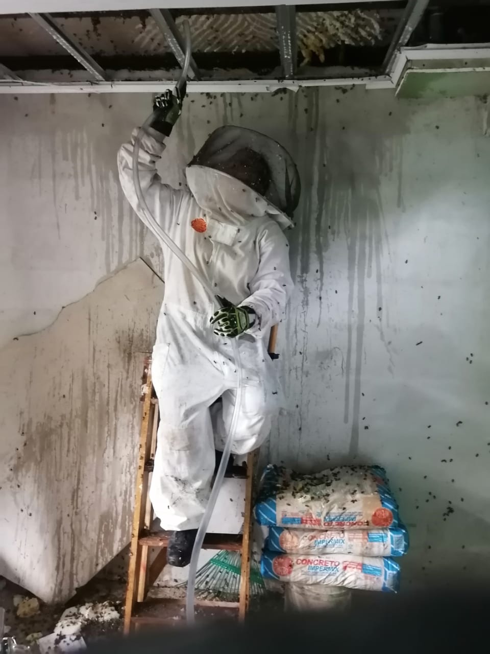 Los bomberos retiran tres colmenas de abejas en Fray Albino