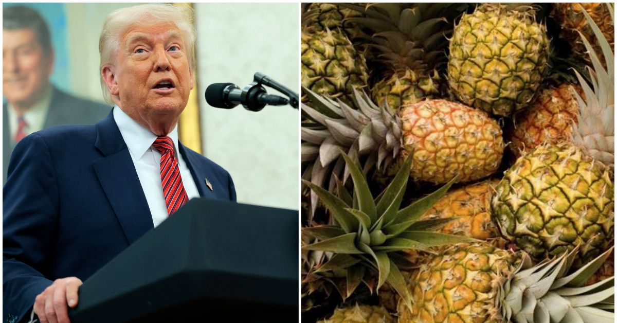 La piña y el banano son los dos principales agrícolas de exportación de Costa Rica hacia Estados Unidos. Ambos rubros están en una reciente lista de exoneraciones arancelarias, donde se verán beneficiados los países que firmen acuerdos con la Administración Trump. Nuestro país está negociando desde mayo pasado.