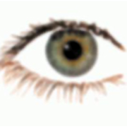 Cuídelos como a sus ojos - 1