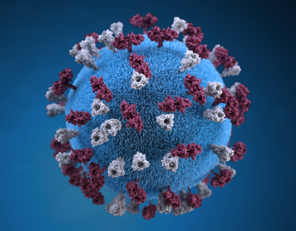 Imagen del sarampión al microscopio