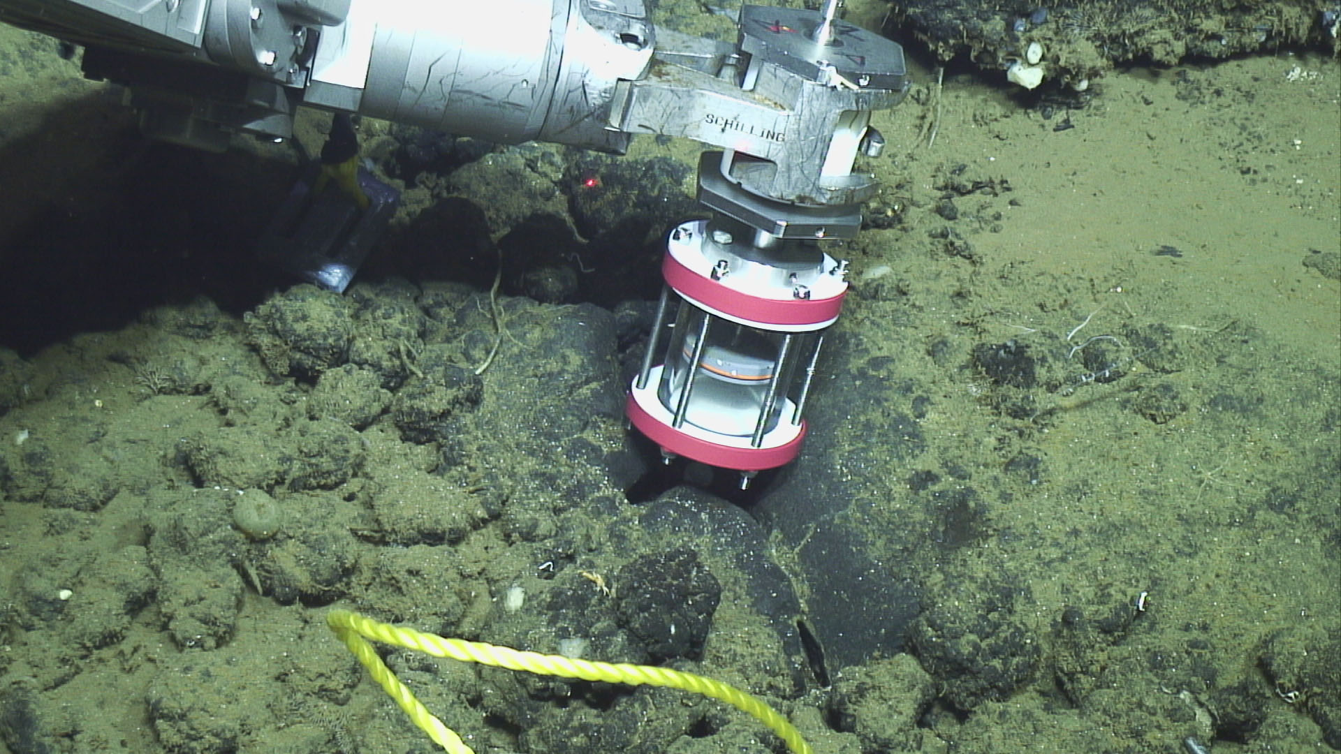 Estos son parte de los instrumentos utilizados por el robot para medir las características del fondo marino tico.
Fotografía: Schmidt Ocean Institute