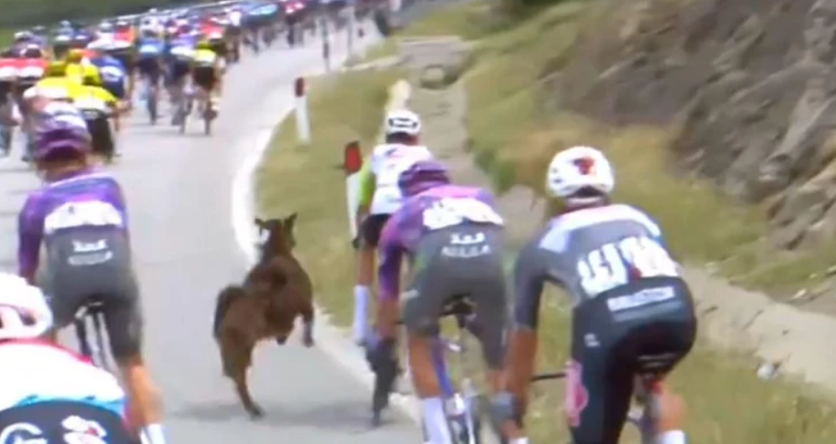Giro de Italia
Cabra
Tercera etapa
11 de mayo del 2025
Tomado de Cope.es