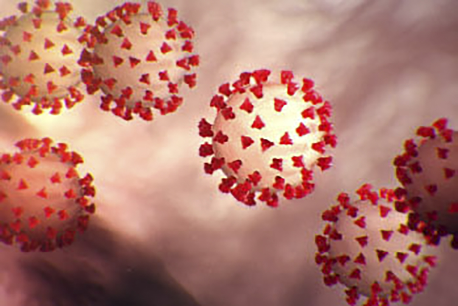 (FILES) This handout file illustration image obtained February 27, 2020 courtesy of the Centers for Disease Control and Prevention and created at the Centers for Disease Control and Prevention (CDC) shows the coronavirus,COVID-19. - US authorities warned healthcare and scientific researchers May 13, 2020 that Chinese-backed hackers were attempting to steal research and intellectual property related to treatments and vaccines for COVID-19. Organizations researching the disease were warned of "likely targeting and network compromise by the People's Republic of China," a statement from the FBI and the Cybersecurity and Infrastructure Security Agency said."China's efforts to target these sectors pose a significant threat to our nations response to COVID-19," they said. (Photo by Handout / Centers for Disease Control and Prevention / AFP) / RESTRICTED TO EDITORIAL USE - MANDATORY CREDIT "AFP PHOTO /CENTERS FOR DISEASE CONTROL AND PREVENTION(CDC)/HANDOUT " - NO MARKETING - NO ADVERTISING CAMPAIGNS - DISTRIBUTED AS A SERVICE TO CLIENTS