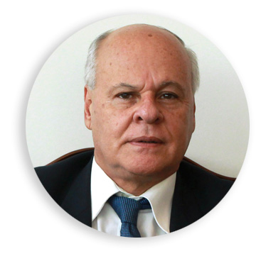 Fernando Castillo, opinión