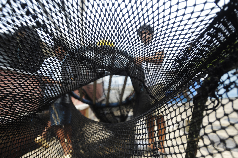 18/09/2013. Puntarenas, Centro. Impacto social de la prohibición de la pesca de arrastre de camarón.planta procesadora de camarón. Oficinas de Incopesca en Puntarenas. Planta procesadora de Camarón Talmana ./Pablo Montiel