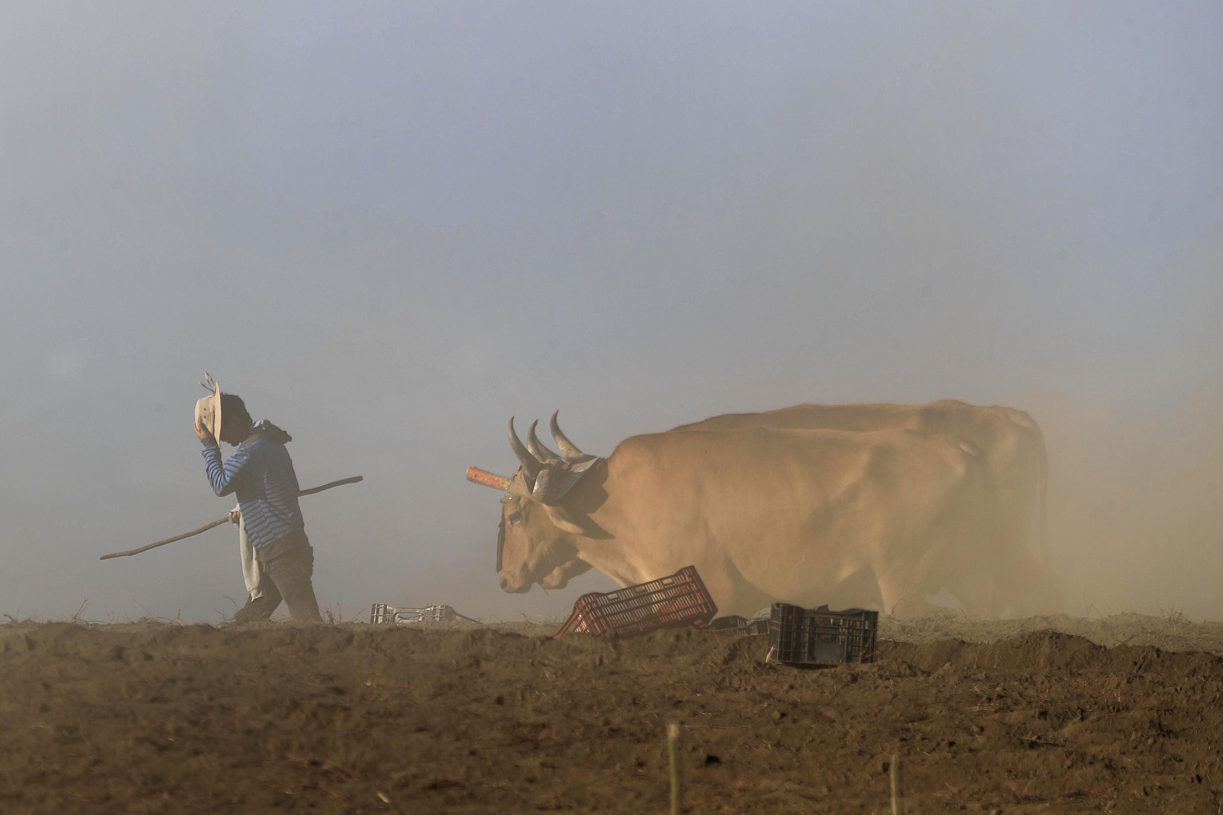 Agricultores; Terrenos secos; Siembros; Cultivos