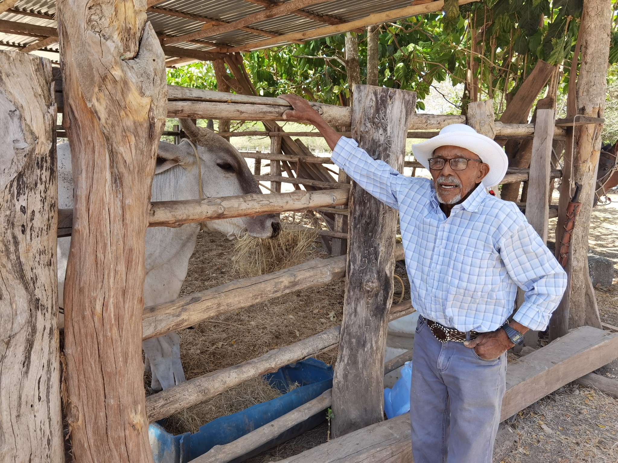 Ramiro Guadamuz, Sabanero de 101 años, Fotos Katiana Murillo para La Nación