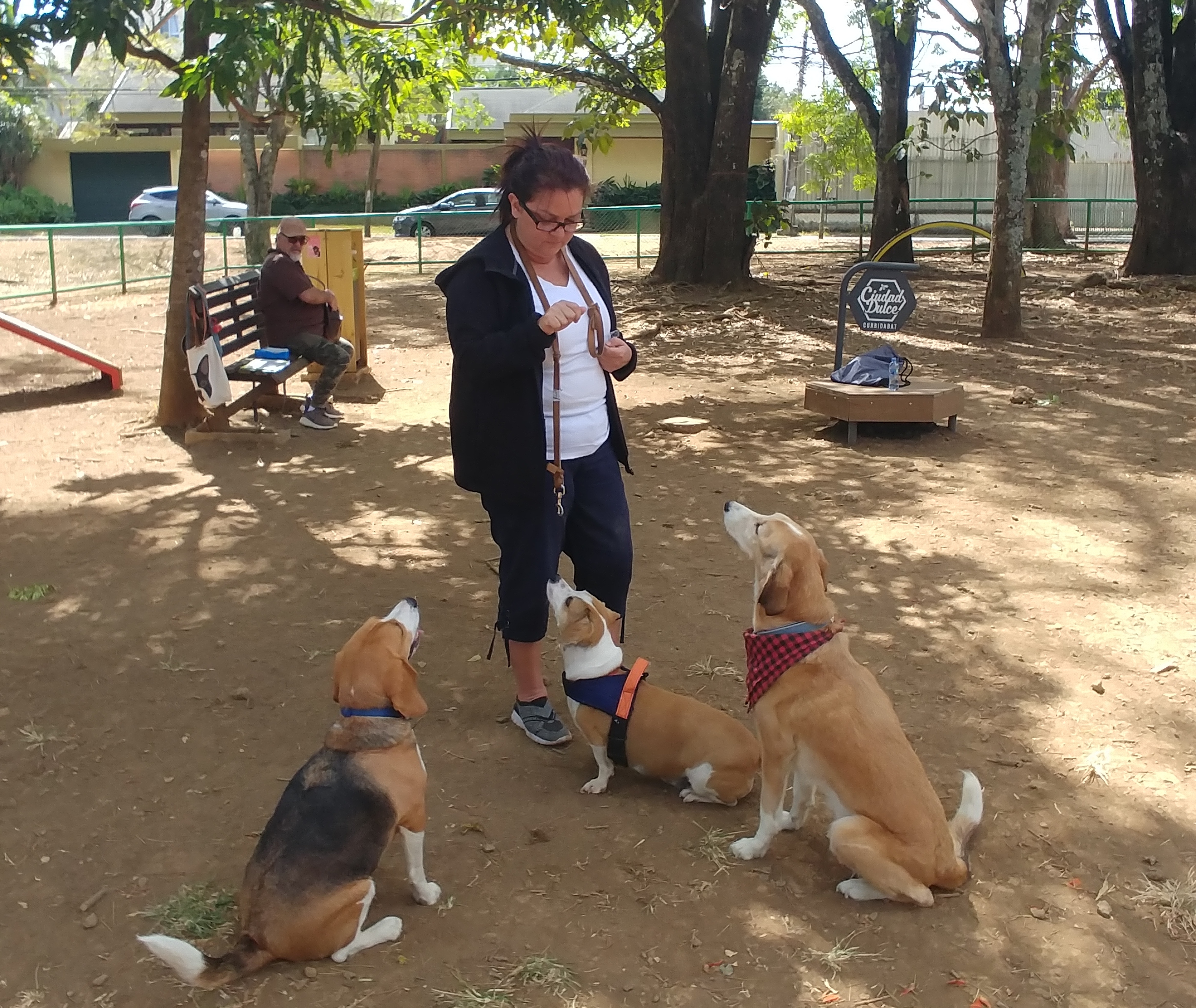 Moralzarzal estrena un Parque de Esparcimiento para perros