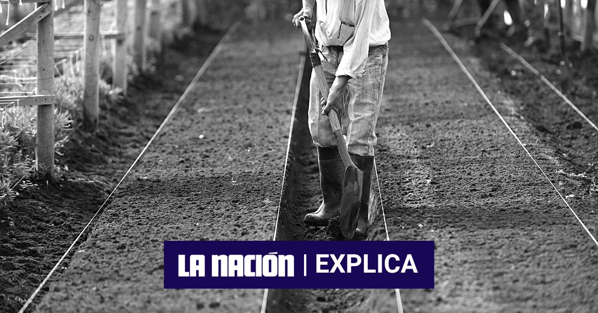 Eliminar la base mínima contributiva es un proceso necesario para reducir la informalidad, según la OCDE, pero esto implicaría cambiar la forma en la que se financia parte del seguro social y otras instituciones