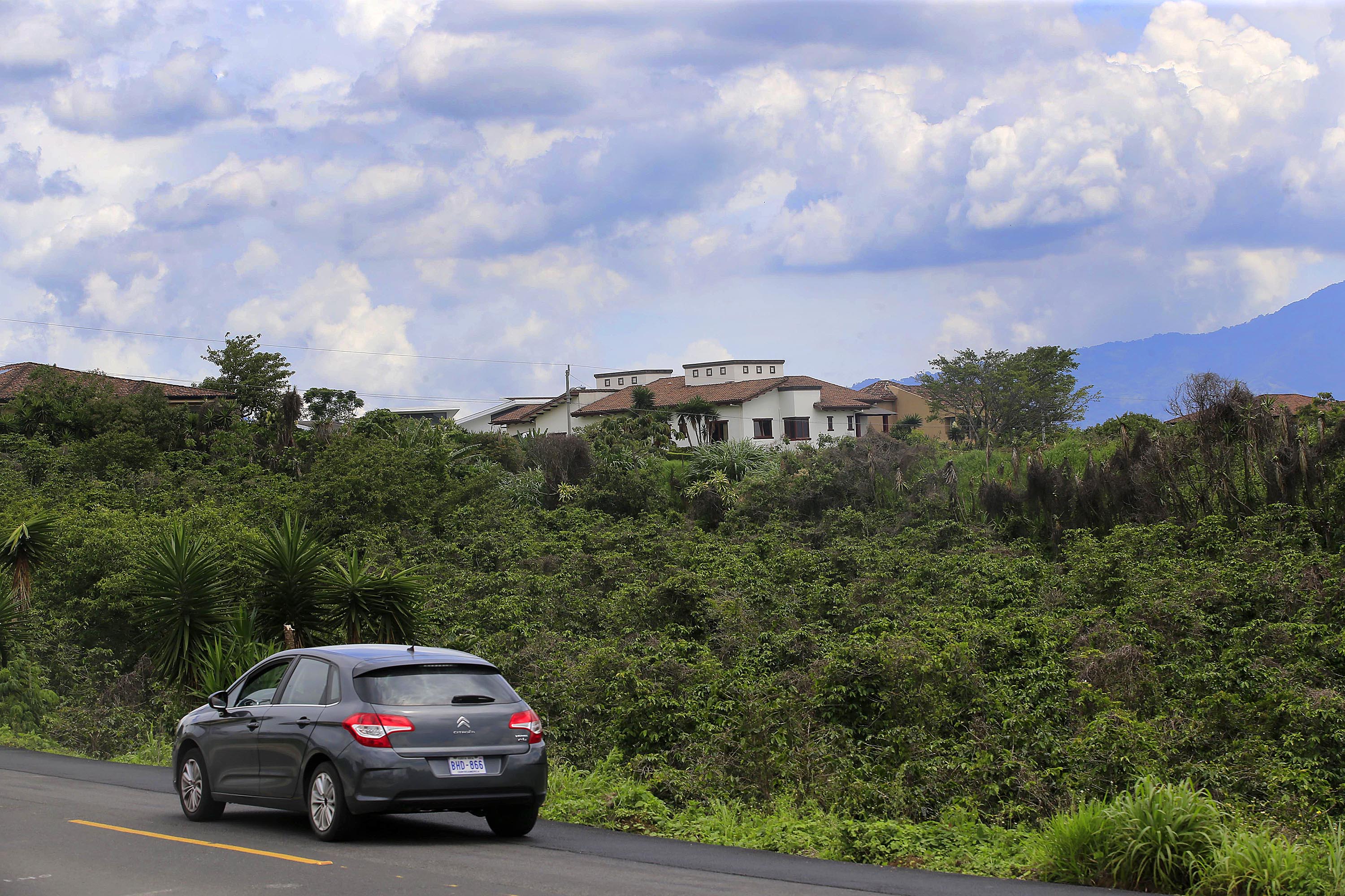 La parte alta del cantón de Curridabat, al norte del Walmart, fronterizo con el cantón de La Unión, todavía presenta un paisaje combinado de residenciales con algunos cafetales. La presión del urbanismo, bajos precios del grano y quejas de vecinos presionan a los propietarios a vender las fincas Foto: Rafael Pacheco