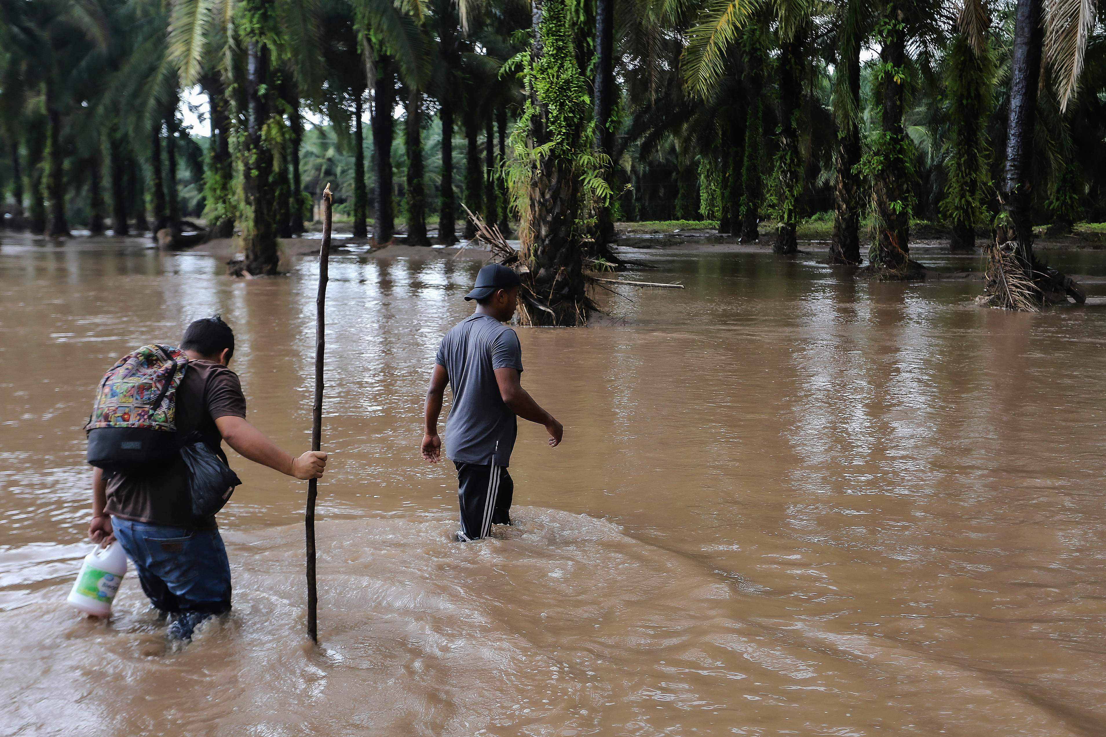 TOPSHOT - Men wade through a flooded area at an African palm plantation in the former banana fields of the municipality of El Progreso, department of Yoro, Honduras, after the overflown of the Ulua river due to the rains left by tropical storm Julia, on October 9, 2022. - Julia was expected to emerge off the Pacific coast by Sunday evening, then "move very near to and parallel to the Pacific coasts of Honduras, El Salvador and Guatemala tonight and Monday", the US National Hurricane Center said in its latest advisory. (Photo by Wendell ESCOTO / AFP)