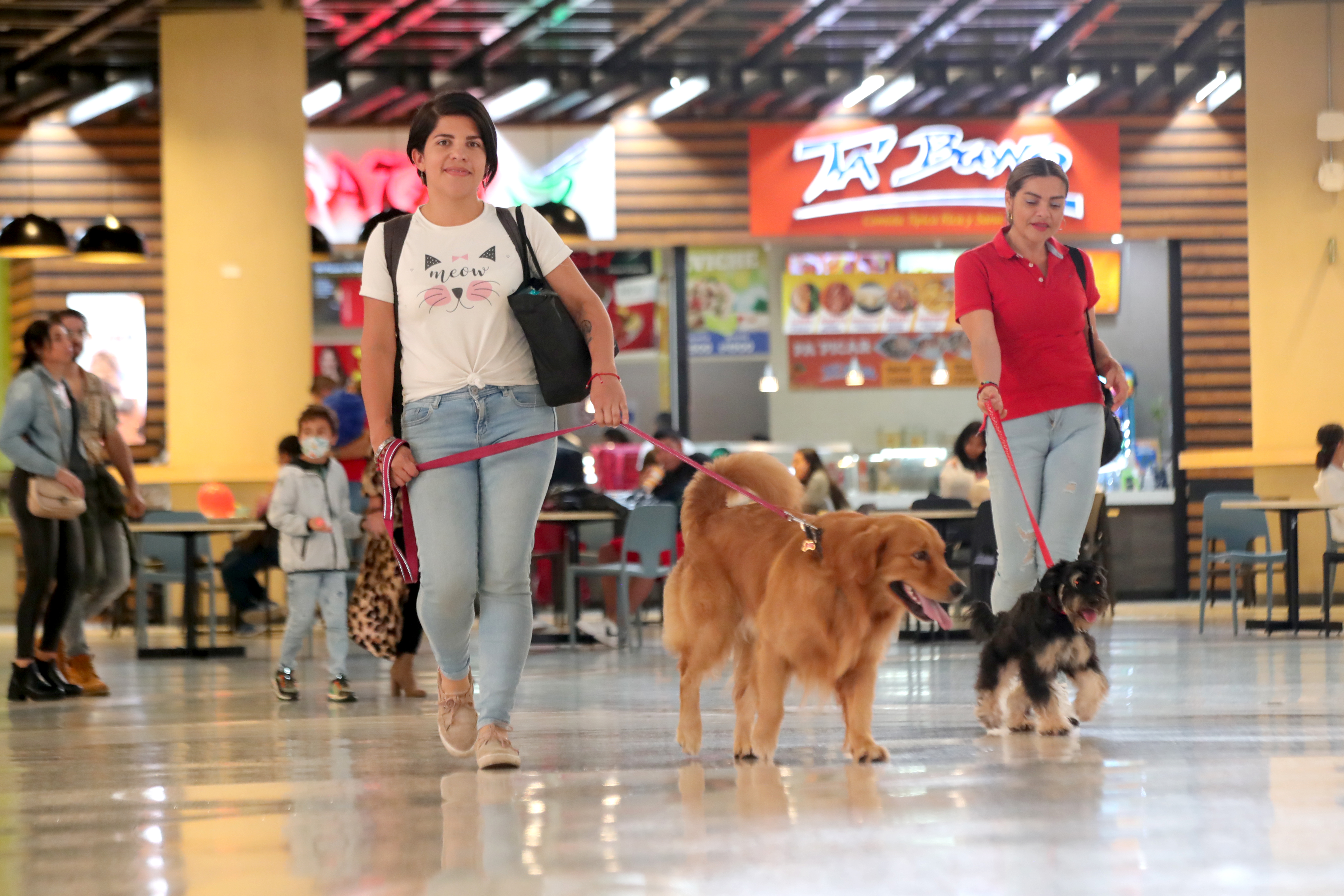 Distrito realiza visita a perros de seguridad en centro comercial