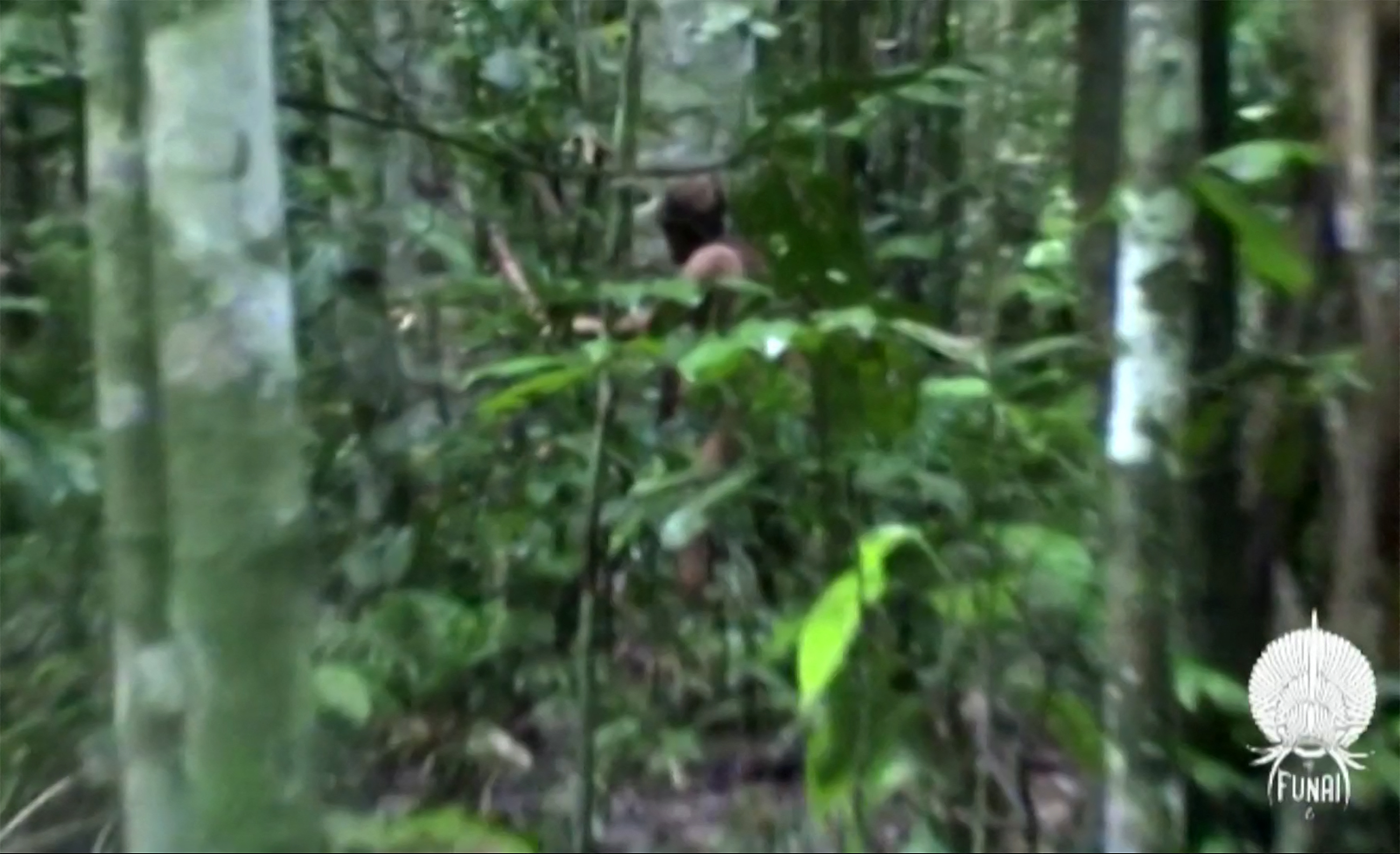 Así vivió solo por años un indígena en la selva del Amazonas desde que ...