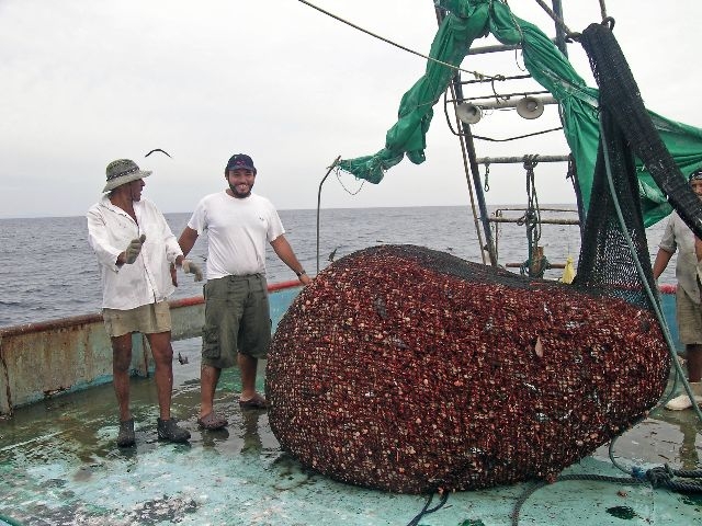Pesca de arrastre, Pacfico central-norte de costa Rica
