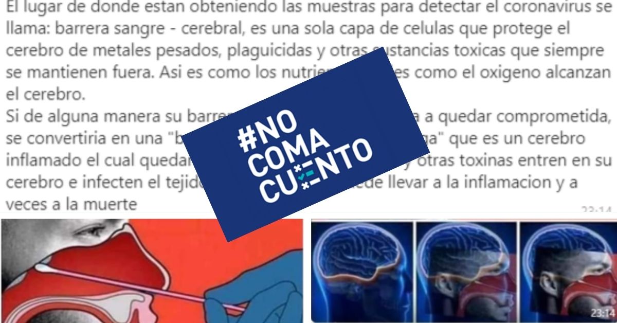 Es falso que las pruebas para detectar la covid-19 se tomen de la barrera hematoencefálica, como lo afirma una imagen que circula en redes sociales.