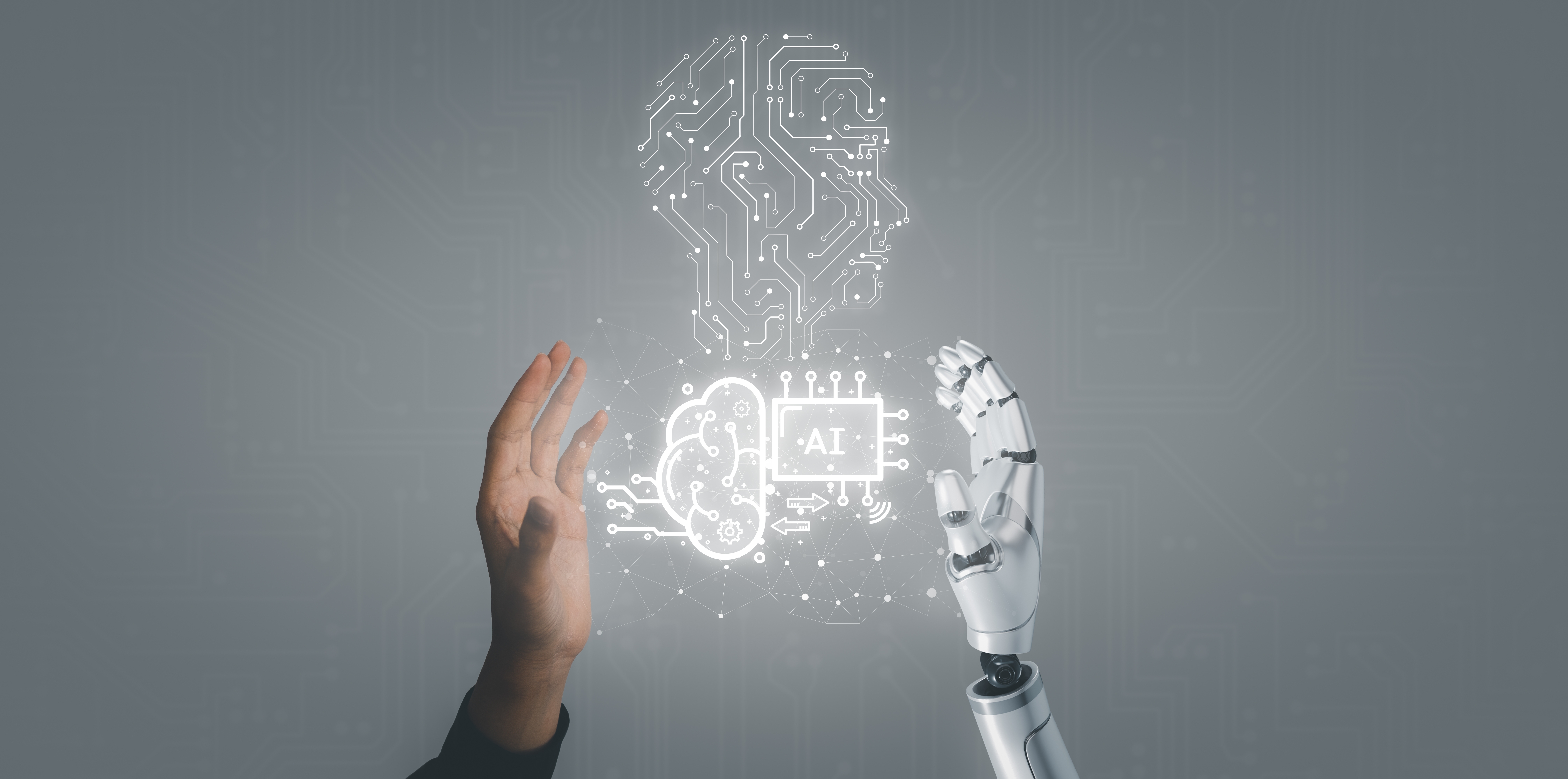 Al poner el énfasis en valores compartidos como la diversidad, la inclusividad y la paz, las autoridades y sus pares tecnológicos podrían definir los principios en los que se han de basar el diseño, desarrollo y uso de herramientas de IA inclusivas.