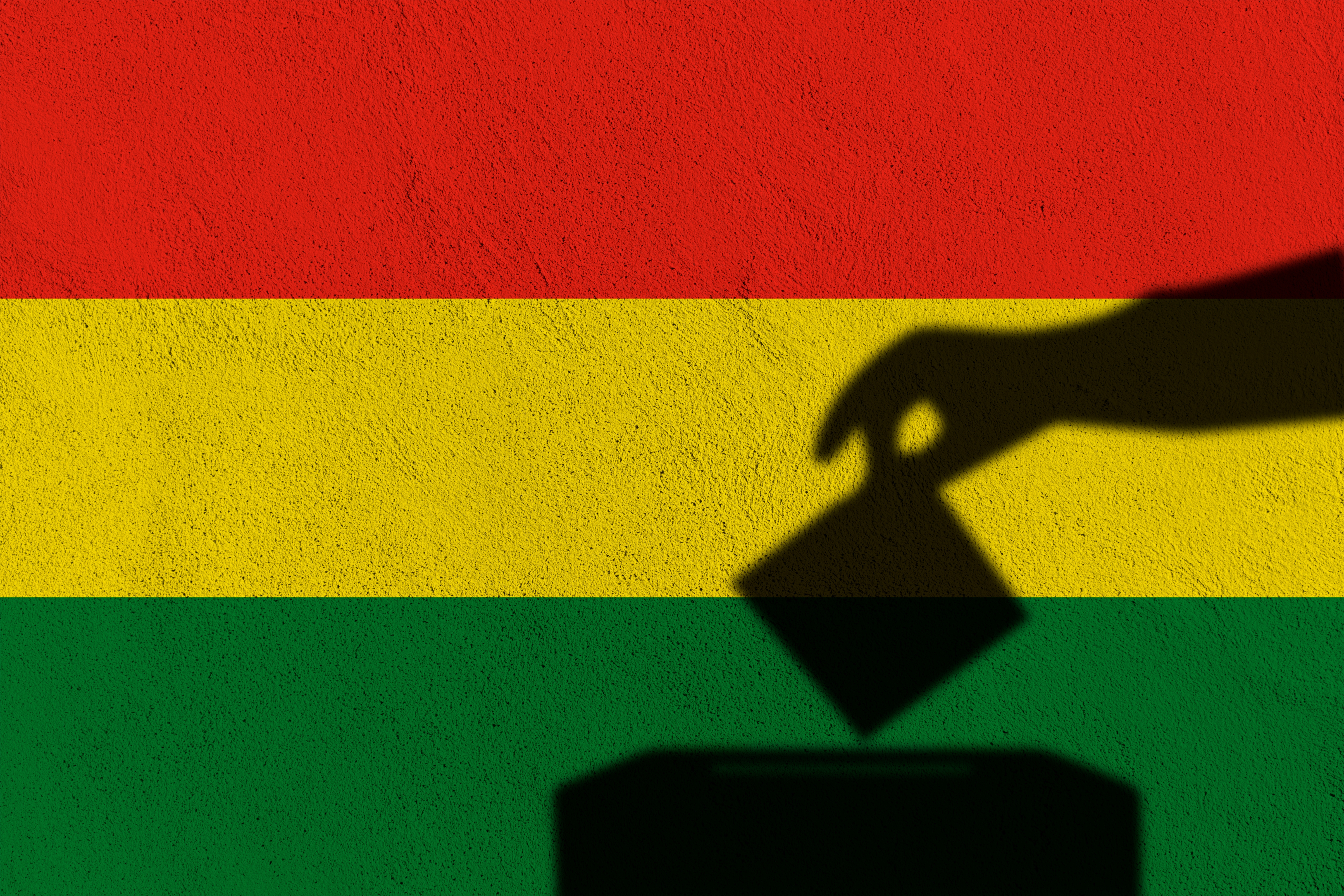 elecciones en Bolivia, urnas, a las urnas, elección de presidente