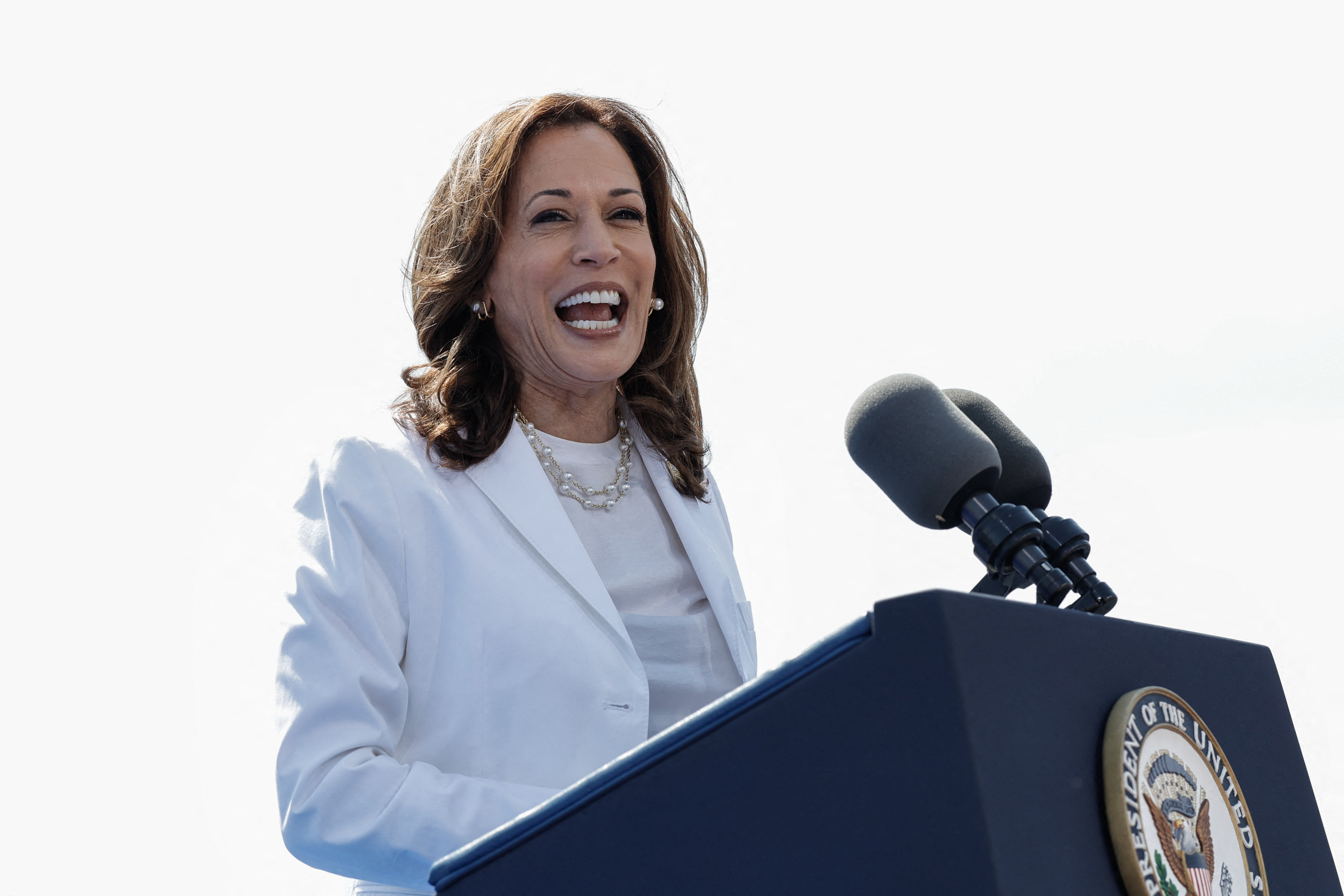 Kamala Harris está llevando su campaña presidencial por estados clave, con el objetivo de formar una coalición con indecisos, independientes y republicanos descontentos con Donald Trump.