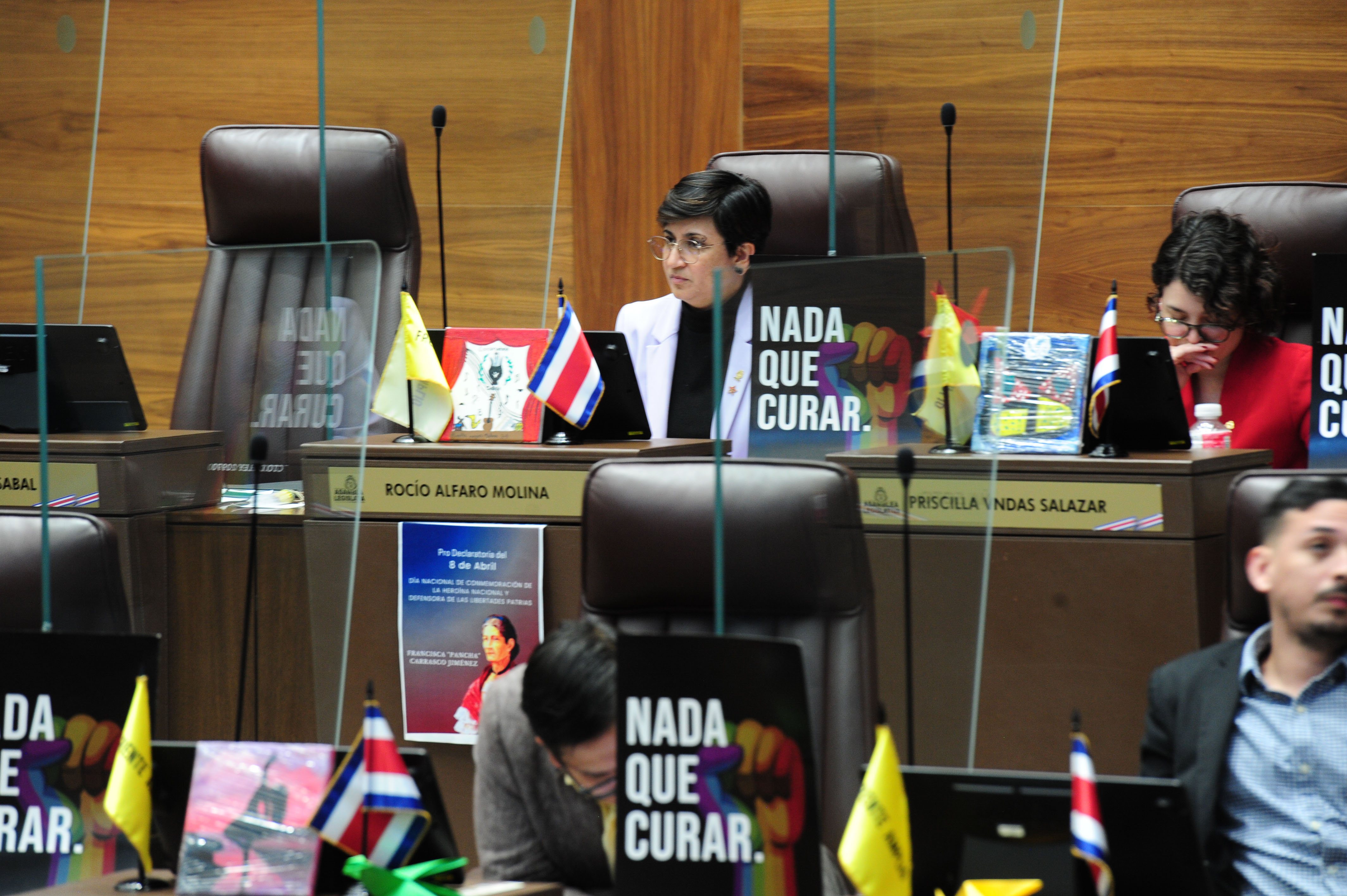 Asamblea Legislativa, Plenario Legislativo