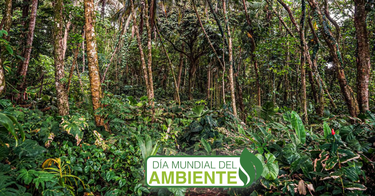 Día del ambiente