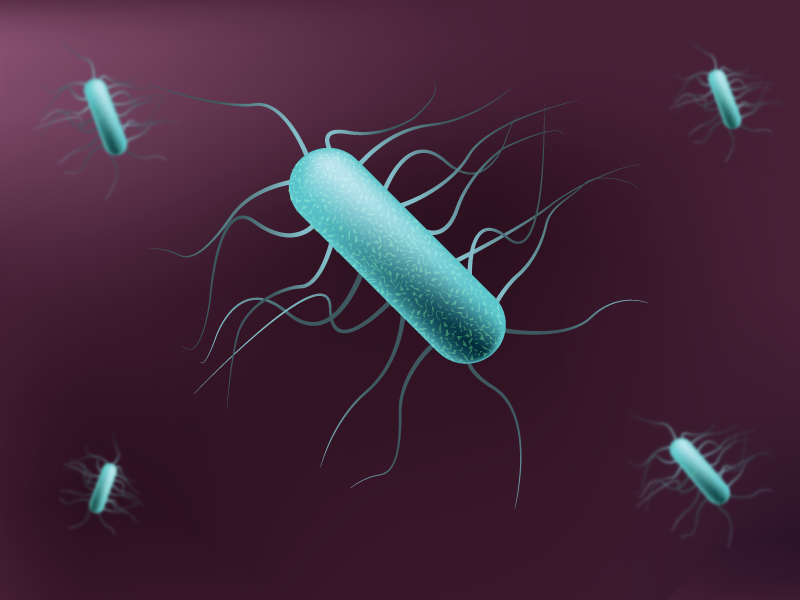 Esta imagen es la de la bacteria "Listeria costarricensis", que fue hallada en suelo alajuelense. Fotografía cortesía del ITCR.