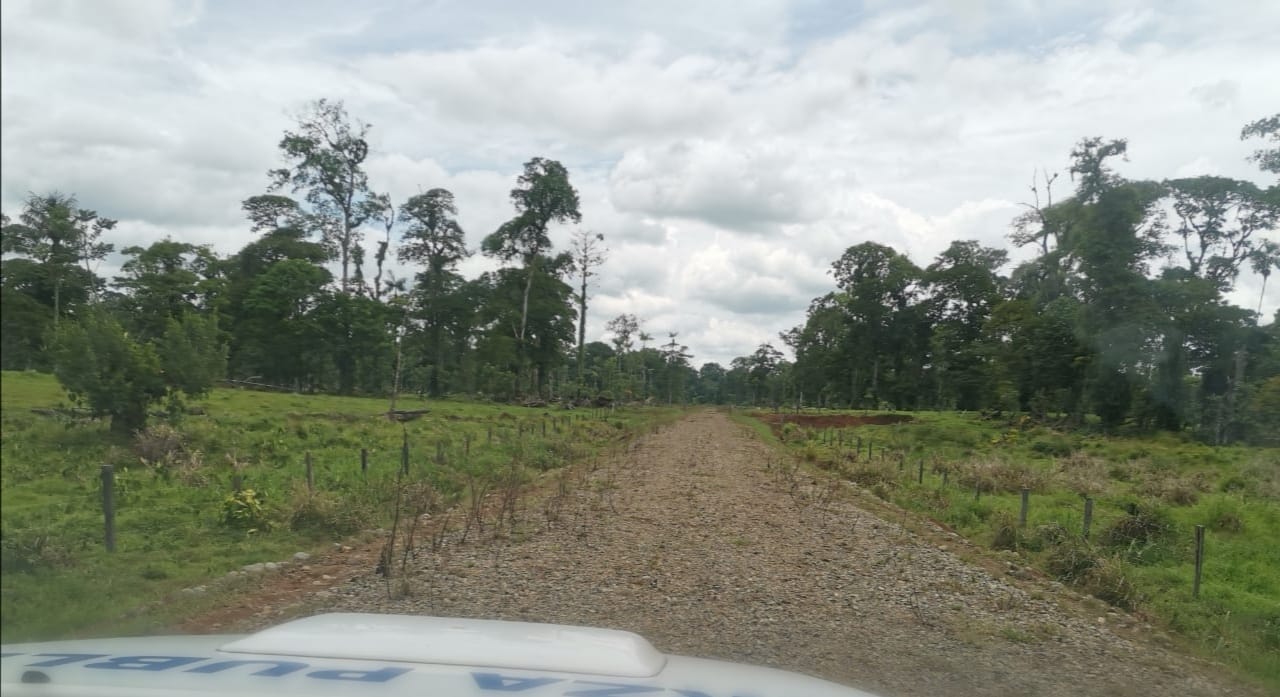 La Policía halló una pista clandestina en Ticabán de la Rita, Pococí. Foto: Reiner Montero, corresponsal GN