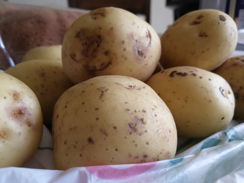 El precio de la papa bajó 18% en setiembre respecto a agosto y fue uno de los productos que influyó en que el indicador de precios bajara en ese mes. Foto: Patricia Leitón.