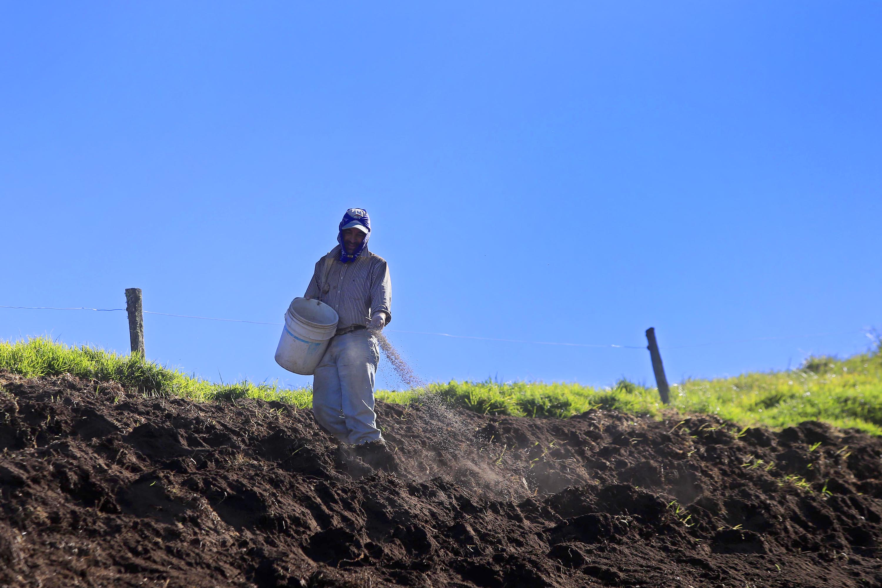 27/03/2020 San Juan de Chicuá. Los agricultores de la zona norte de Cartago se mantienen en labores para garantizar el abastecimiento interno en tiempo de cuarentena por covid-19. No solo recogen las cosechas sino que también cuidan los cultivos y preparan el terreno para sembrar de nuevo. Los productores no cesan sus labores, con lo cual se garantiza la existencia de verduras, hortalizas, granos y leche. En esta finca trabajaban sembrando papa cuya cosecha estaría para dentro de cuatro meses, aproximadamente. Foto: Rafael Pacheco