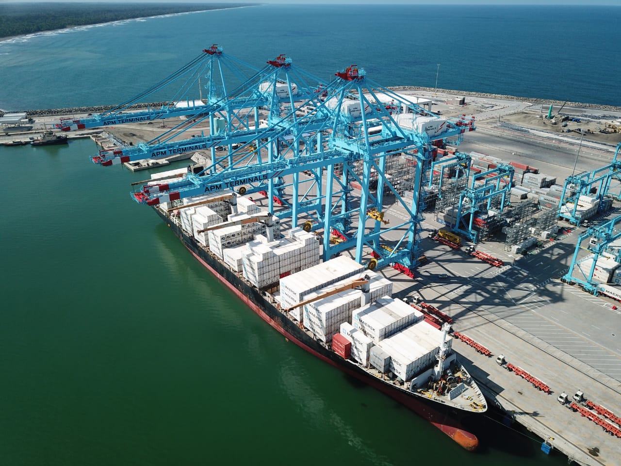 El Ministerio de Hacienda prevé instalar un escáner adicional al ya existente en la terminal que administra APM en Moín, para revisar importaciones y exportaciones. Foto: Cortesía Israel Oconitrillo.