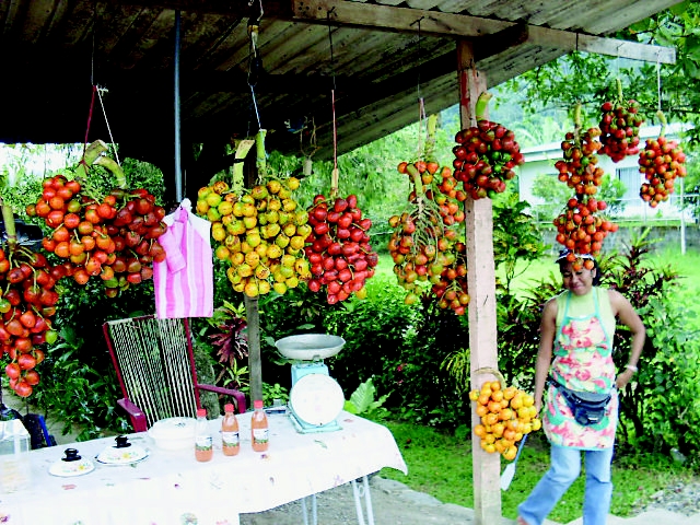 Usted podrá comprar pejibaye en la feria. Centro Agrícola Cantonal de Tucurrique/LN.Venta.