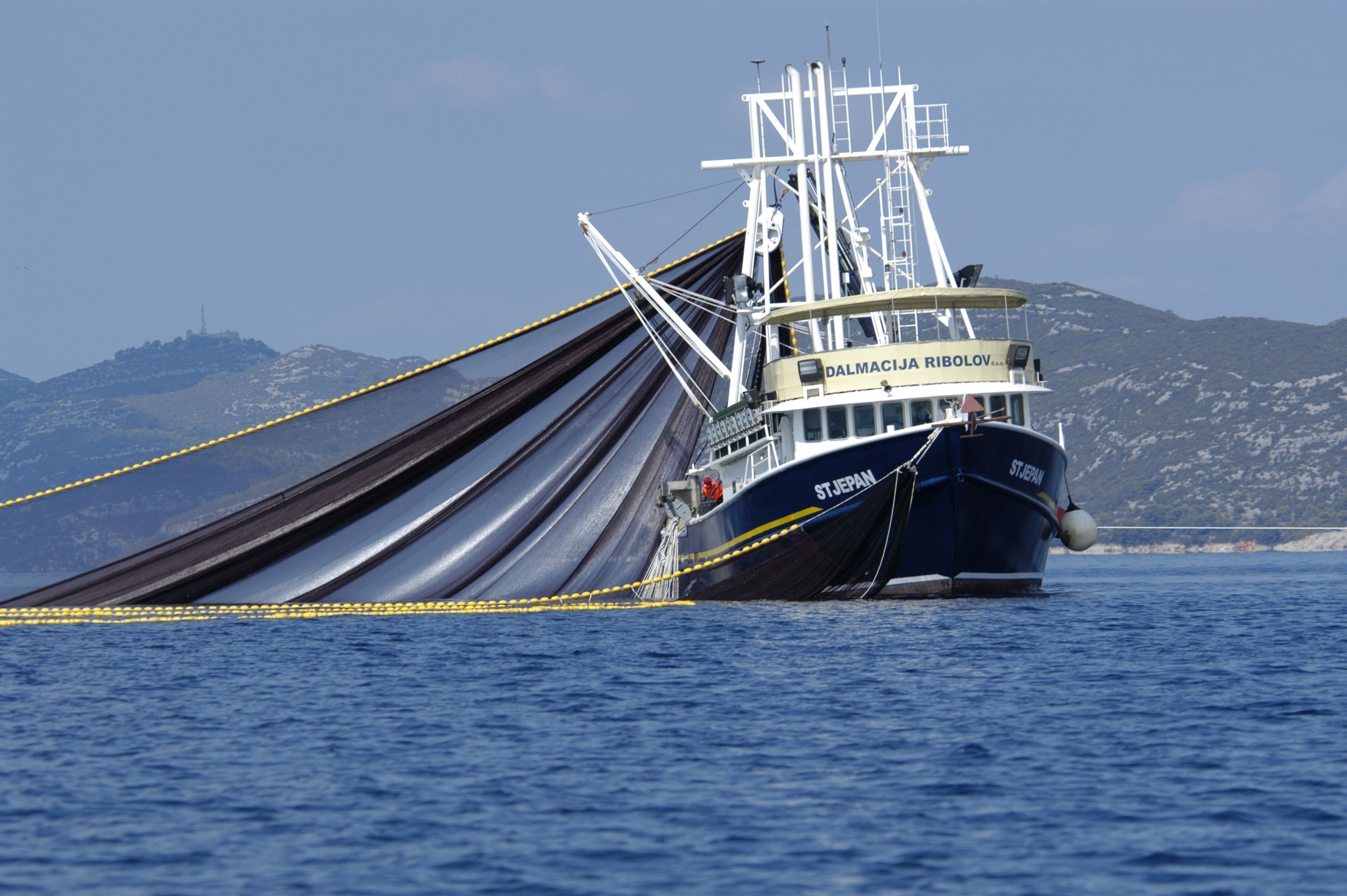 Purse Seine Fishing Vessel in the Adriatic Sea