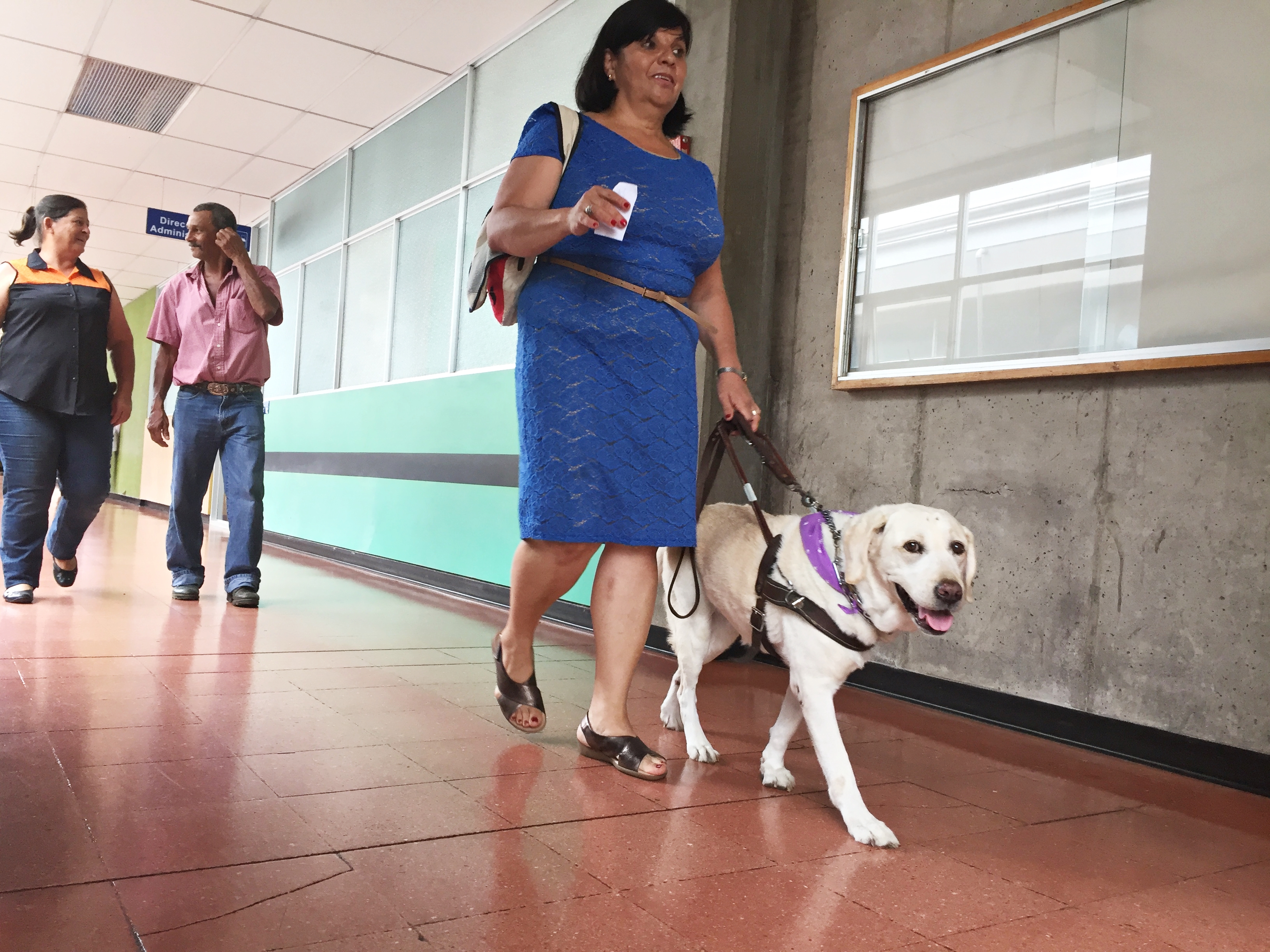 se permiten perros en el hospital