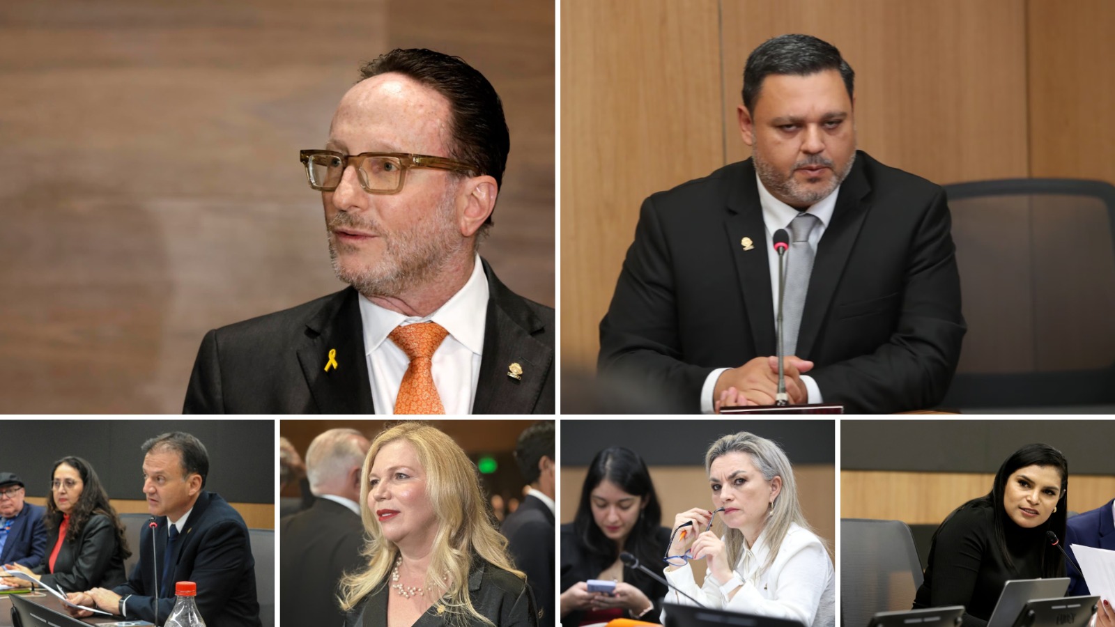 Eliécer Feinzaig Mintz, Gilberto Campos Cruz, Luis Diego Vargas Rodríguez,
Cynthia Córdoba Serrano, Kattia Cambronero Aguiluz y Johana Obando Bonilla.