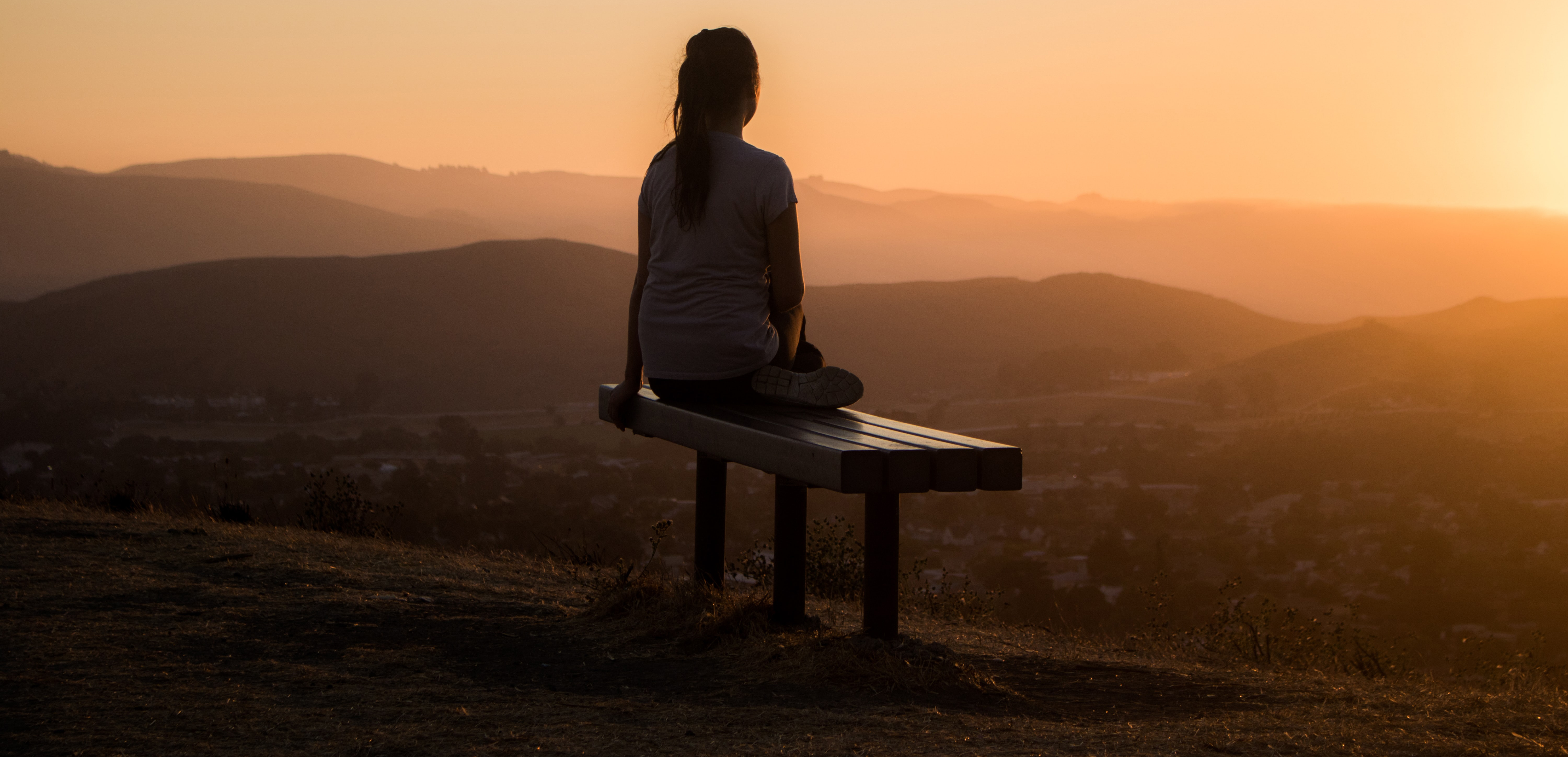 Photo by Sage Friedman on Unsplash