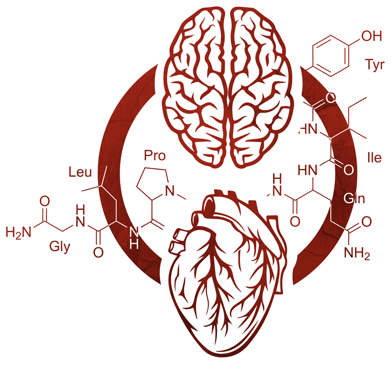 La “amarga ciencia” del amor