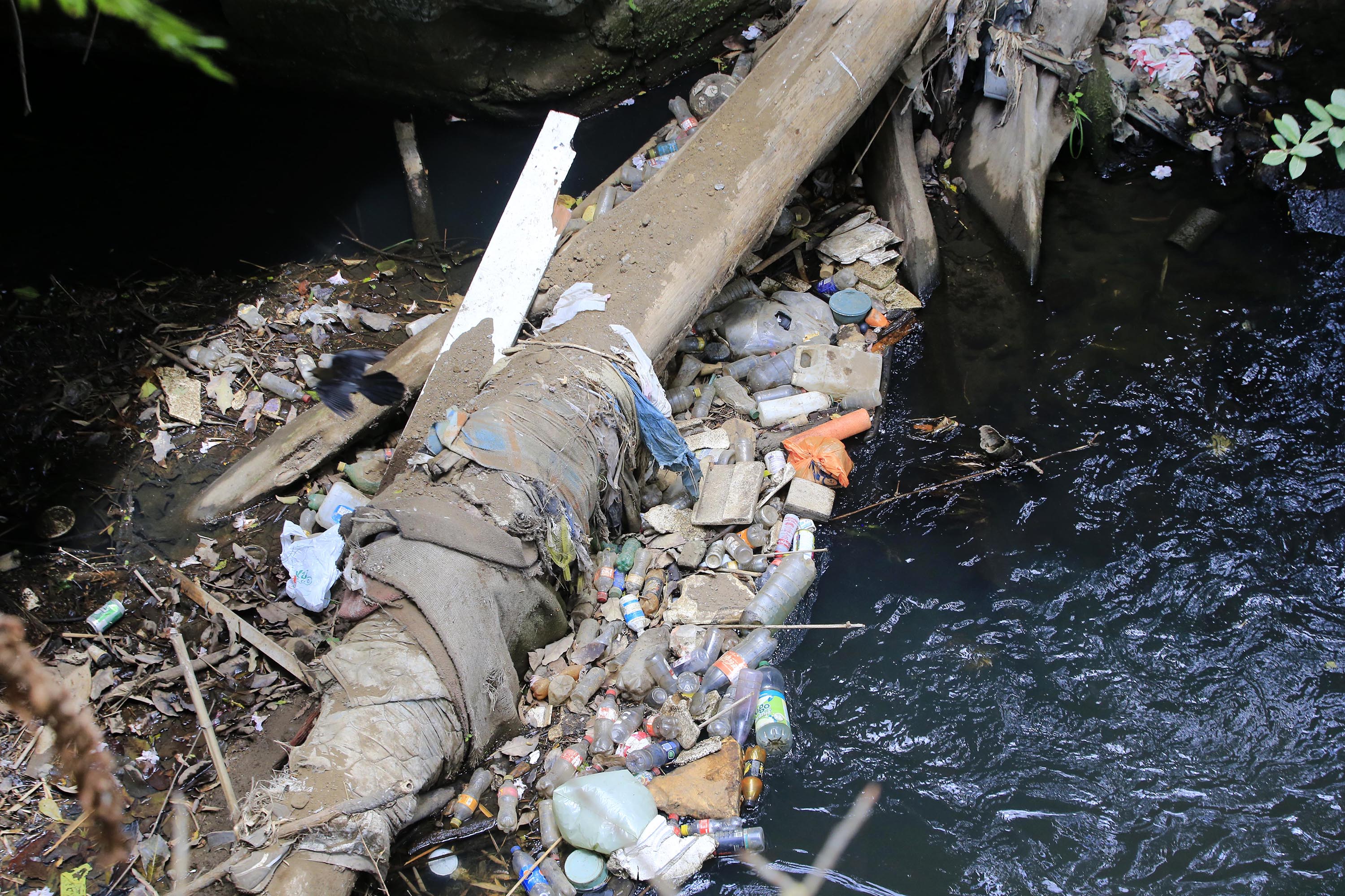 12/03/2019 San José. El Río Torres sigue mostrando gran nivel de suciedad y contaminación, siendo uno de los ríos más contaminados, a su paso por Barrio Amón. Foto: Rafael Pacheco