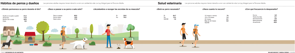 Ticos aman a los perros pero son dueños despreocupados